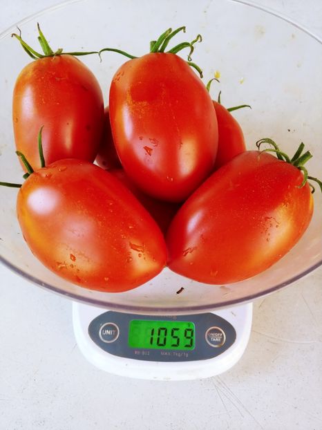 BULL HEART KRASNOE UKR  (5) - BULL HEART RED UKRAINA-2 VARIETĂȚI