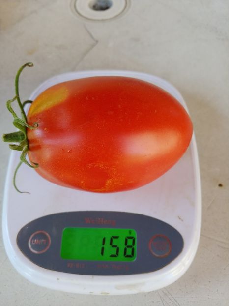 BULL HEART KRASNOE UKR  (6) - BULL HEART RED UKRAINA-2 VARIETĂȚI