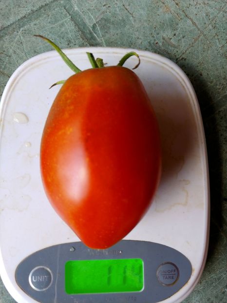 BULL HEART RED 1888 UKR 2018 (22) - BULL HEART RED UKRAINA-2 VARIETĂȚI