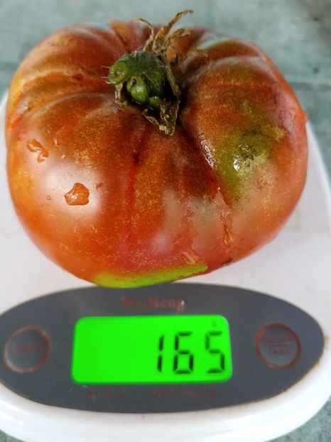 BRANDYWINE BLACK 2018 (2) - BRANDYWINE BLACK