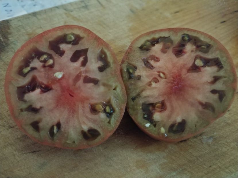 BRANDYWINE BLACK 2018 (8) - BRANDYWINE BLACK