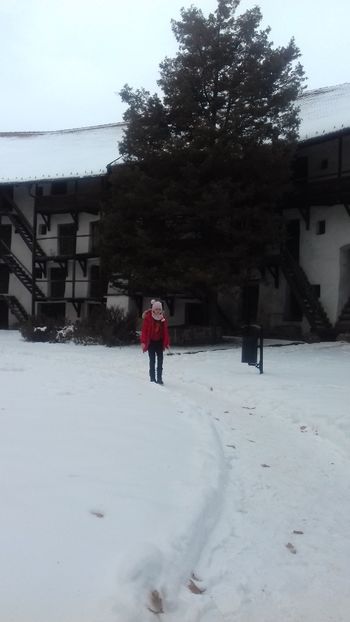  - Biserica fortificata Prejmer