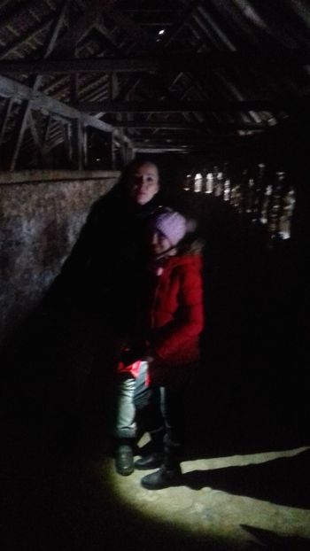  - Biserica fortificata Prejmer