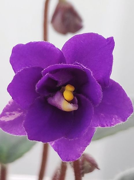 9 ian - Downsview Trail