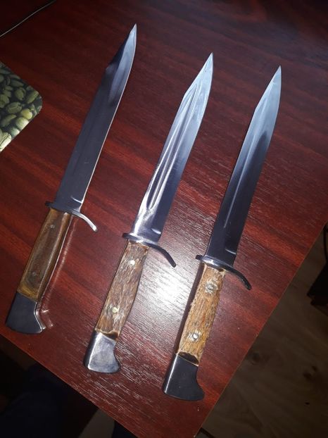 IMG-20190120-WA0001 - CUTITE LUCRATE MANUAL 2019-2020