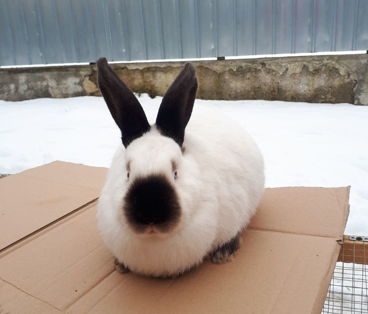 Vandut - DE VANZARE -2023