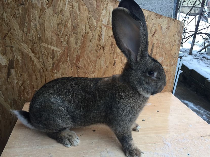 3B62AF3F-C2B4-496D-9CAE-DA7EFC2D8886 - RO16-3888