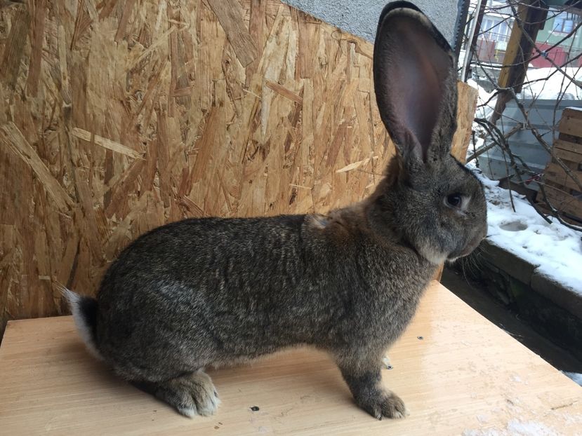 AF8C70C4-5D87-4B43-AEDD-480BE5256118 - RO16-3888