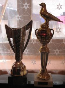  - 2 Cateva trofee obtinute