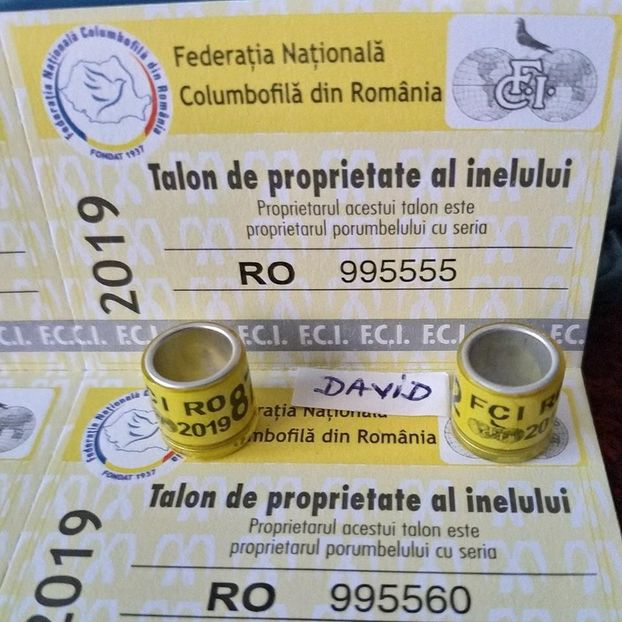  - Inele porumbei 2019 de vanzare