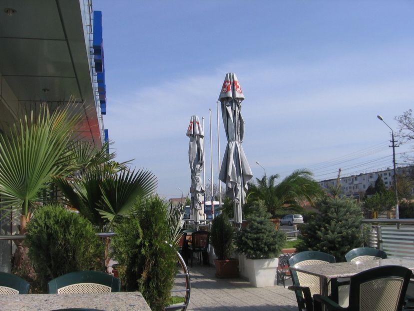 Mangalia, o terasa - 2009