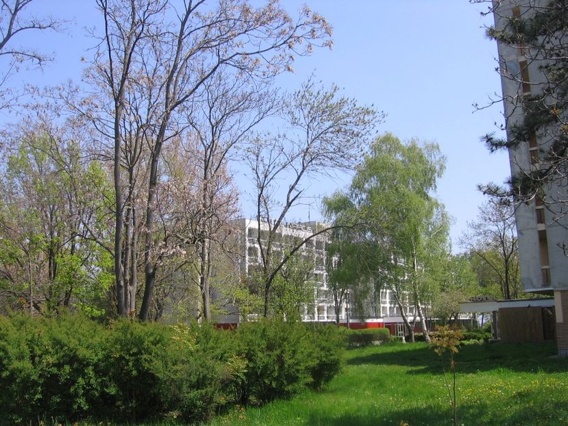 Saturn, hotel - 2009