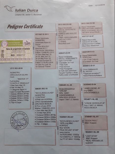 pedigree Hell Boy - Hell Boy