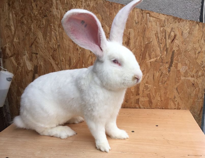 15684634-02D9-402D-82E0-7733ED77CF59 - RO8-288