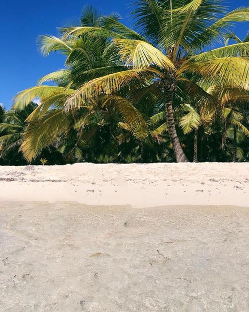  - 01 background - 01