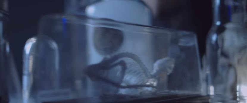 bandicam 2019-01-24 20-35-51-635 - 23 Praf de stele