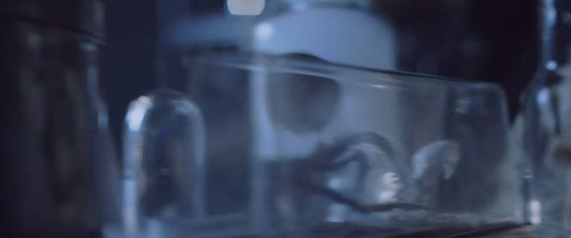 bandicam 2019-01-24 20-35-51-867 - 23 Praf de stele