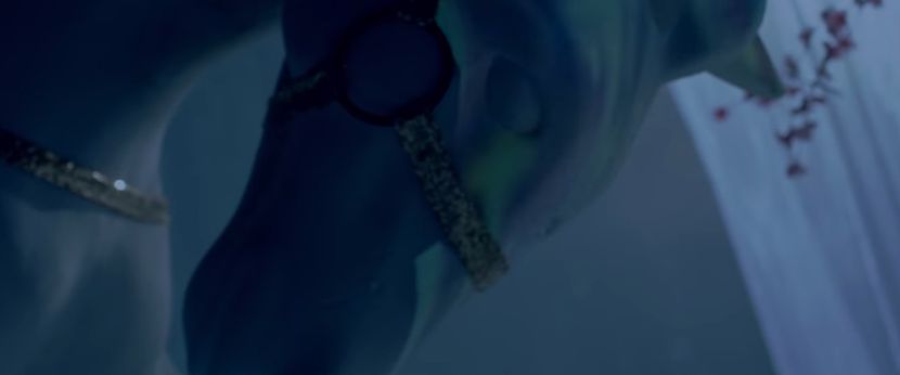 bandicam 2019-01-24 20-35-53-819 - 23 Praf de stele