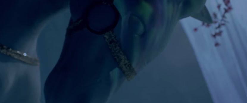 bandicam 2019-01-24 20-35-54-052 - 23 Praf de stele