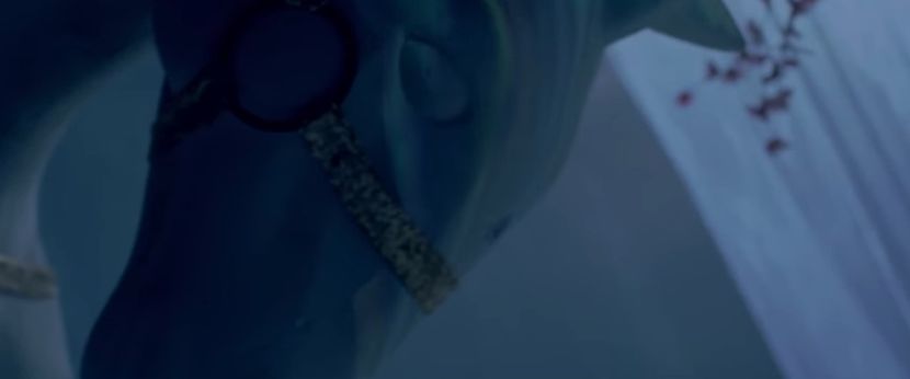 bandicam 2019-01-24 20-35-54-760 - 23 Praf de stele