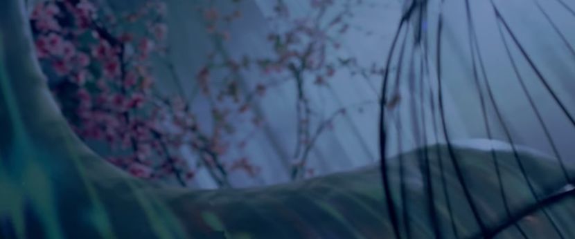 bandicam 2019-01-24 20-35-55-266 - 23 Praf de stele