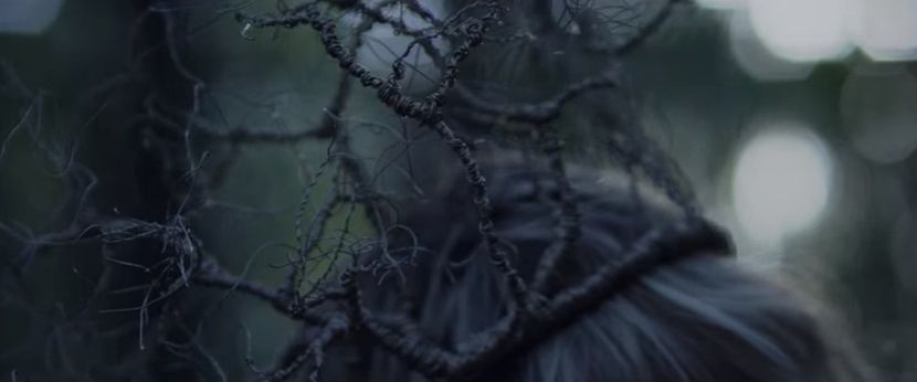 bandicam 2019-01-24 20-36-37-807 - 23 Praf de stele