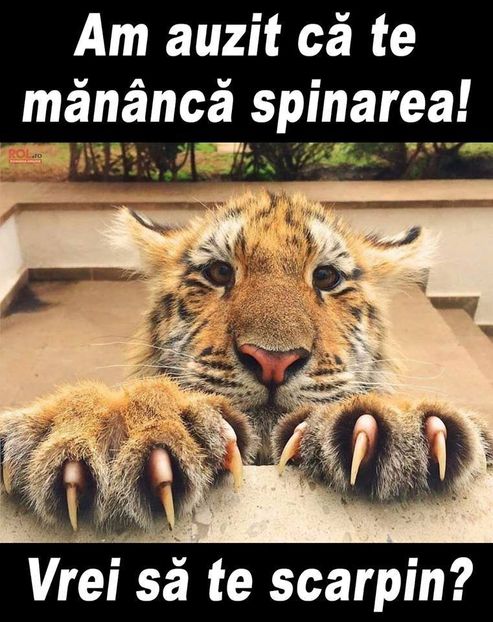 Eurovision 2018 - 2018 Eurovision Song Contest Part 9