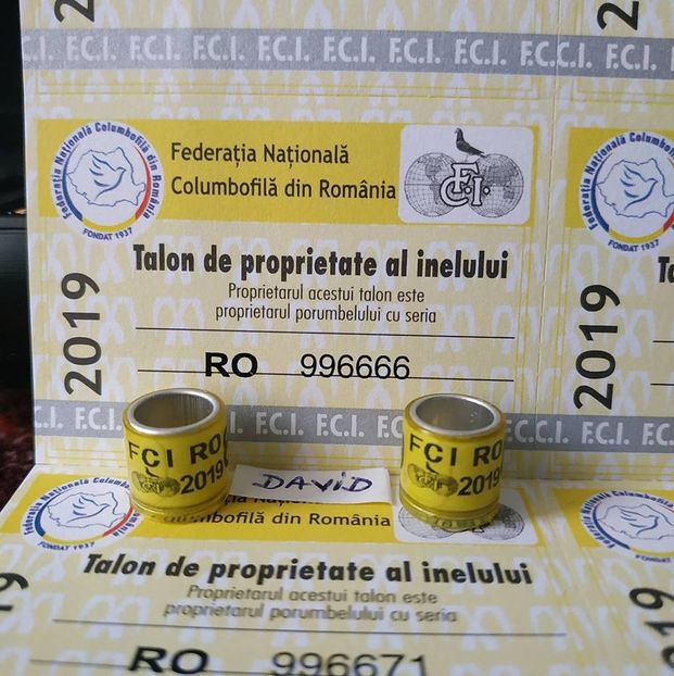  - Inele porumbei 2019 de vanzare