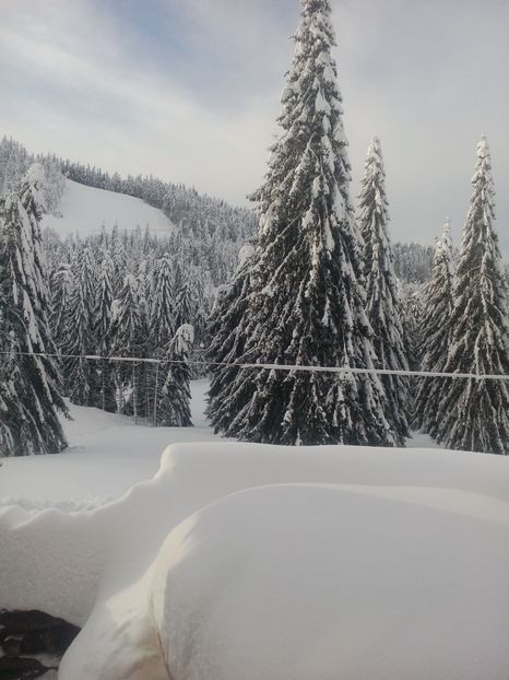  - 8-ARIEȘENI 2019