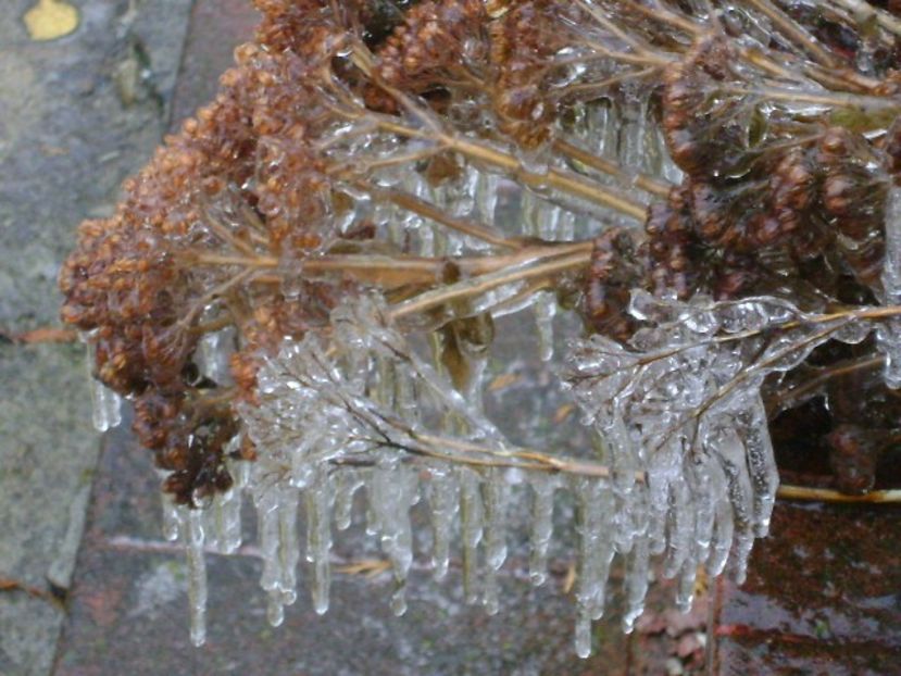 Freezing rain - v Iarna 2019-2020