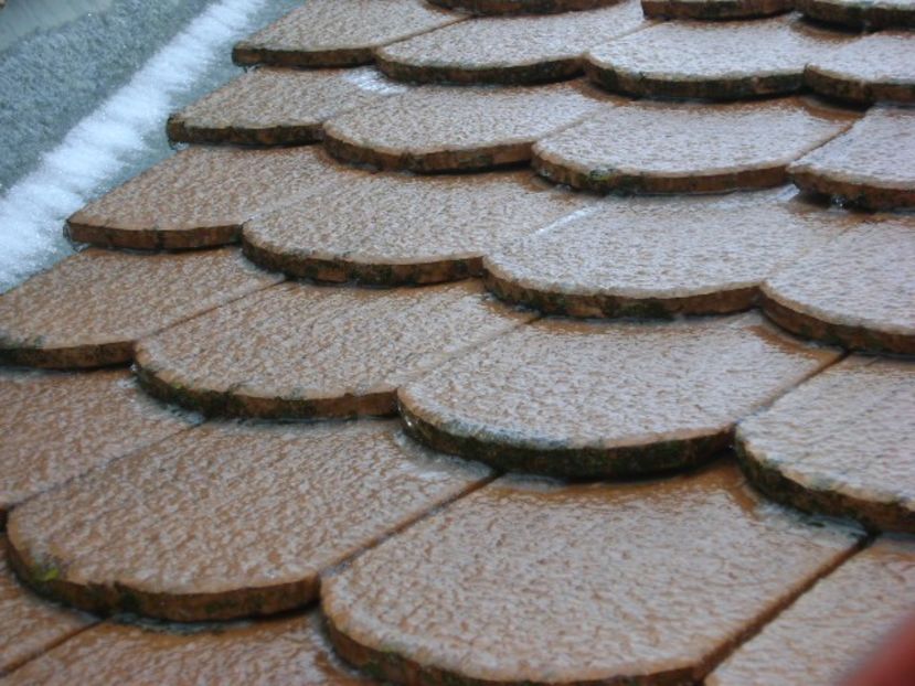 Freezing rain - v Iarna 2019-2020