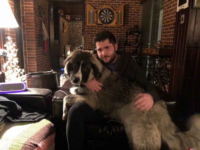 54C4F6E9-6D76-44EE-8F04-3F030A00B8E1 - Casuta in interior 2013