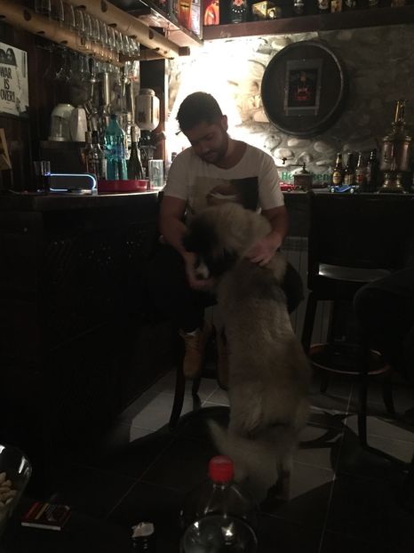 FE9B09AB-D965-4E25-861B-40C483F1F3C9 - Casuta in interior 2013