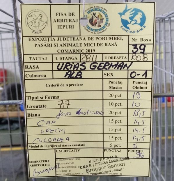 18D79506-28A4-41BA-9EB9-09FBF4E333BE - 0 Rezultate expo Comarnic 25-27 ian 2019