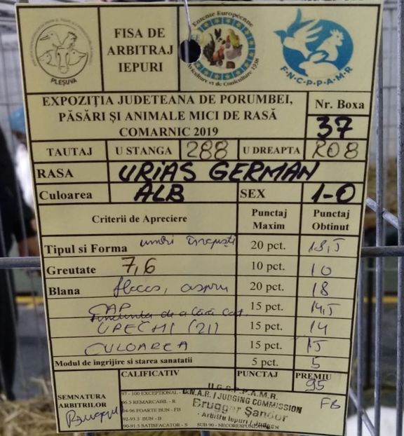 00932688-74FB-417D-9696-0DCF23F44D85 - 0 Rezultate expo Comarnic 25-27 ian 2019