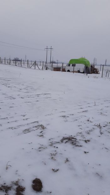  - Livada 1 anul ll 2019