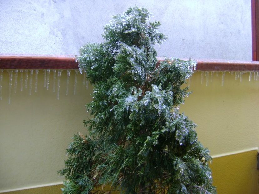 Freezing rain - v Iarna 2019-2020