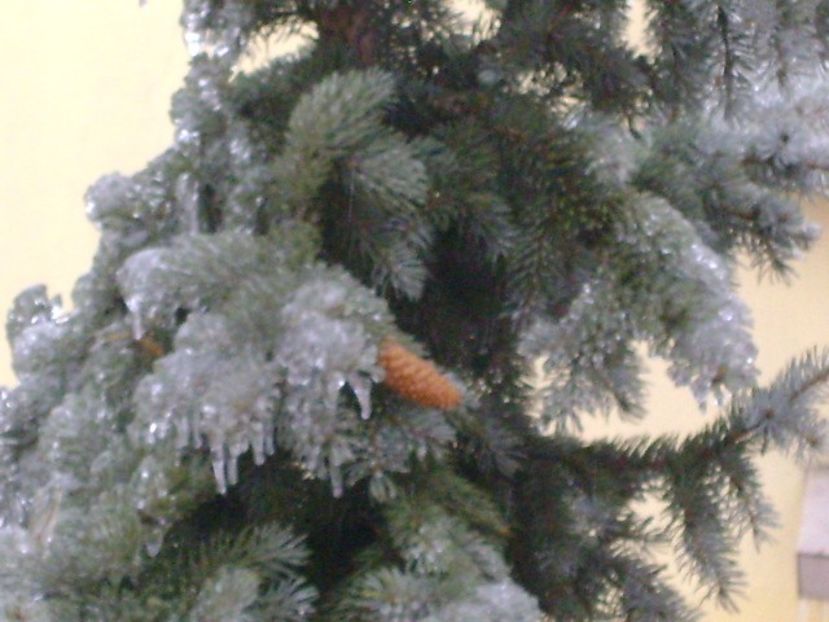 Freezing rain - v Iarna 2019-2020