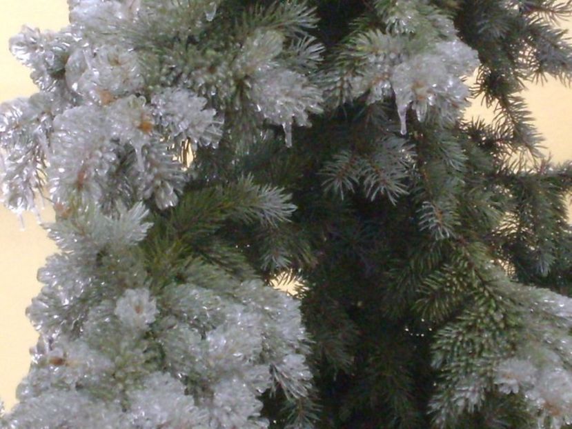 Freezing rain - v Iarna 2019-2020