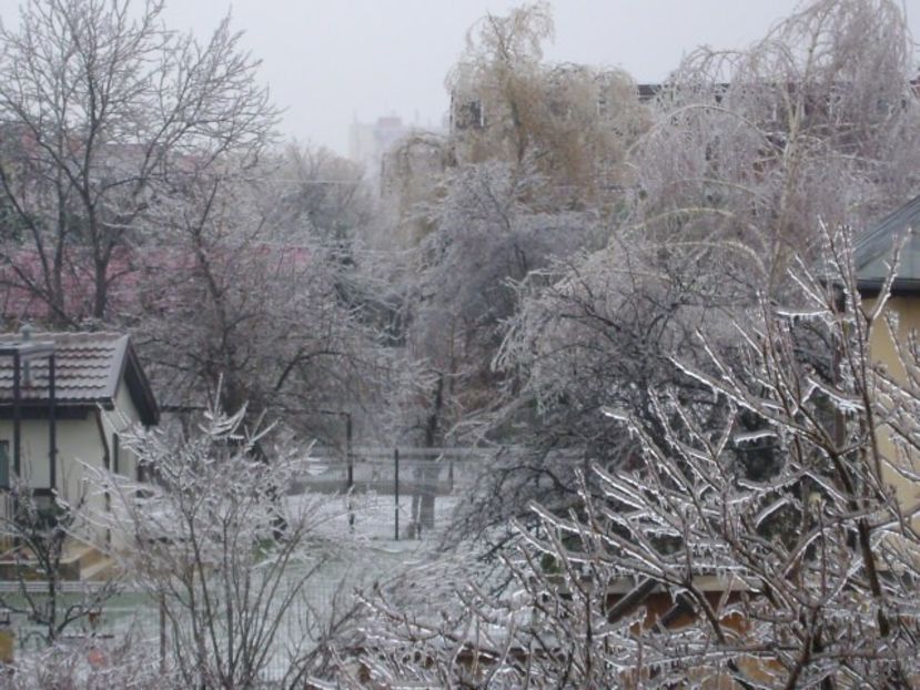 Freezing rain - v Iarna 2019-2020