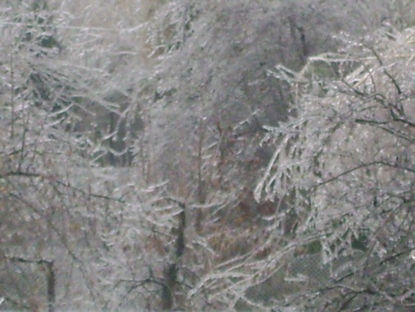 Freezing rain - v Iarna 2019-2020