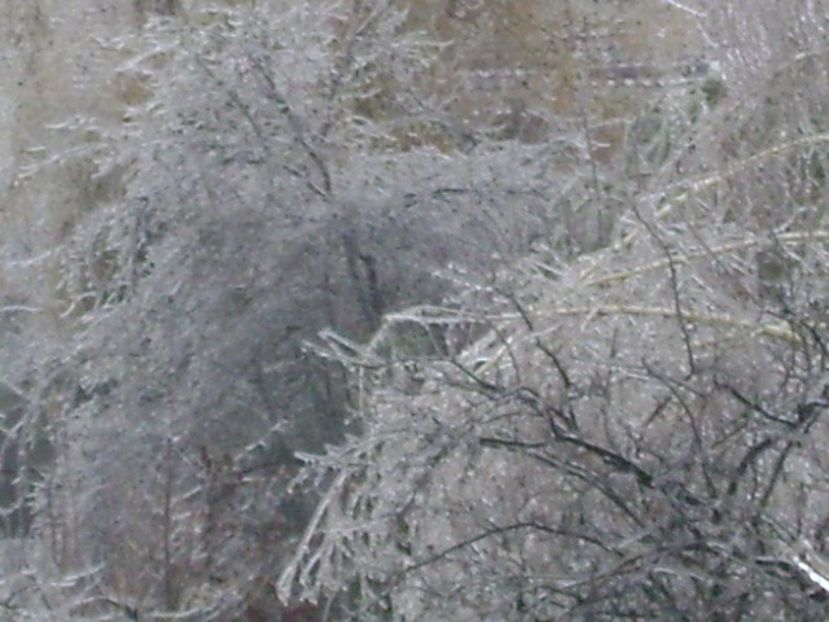 Freezing rain - v Iarna 2019-2020