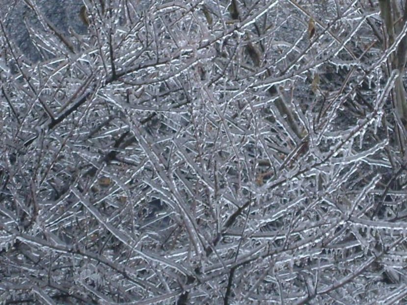 Freezing rain - v Iarna 2019-2020