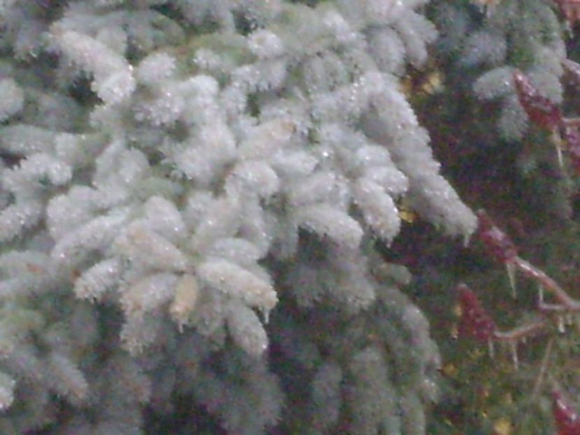 Freezing rain - v Iarna 2019-2020