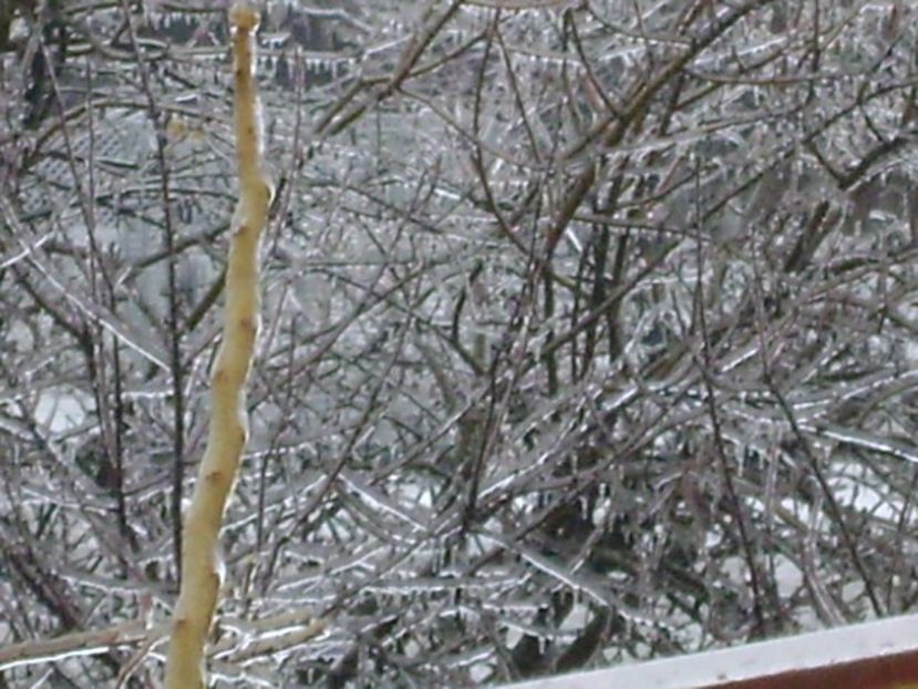 Freezing rain - v Iarna 2019-2020