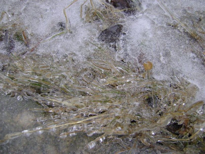 Freezing rain - v Iarna 2019-2020