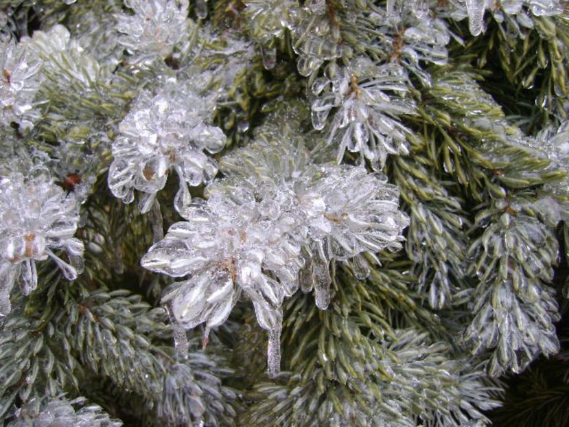 Freezing rain - v Iarna 2019-2020