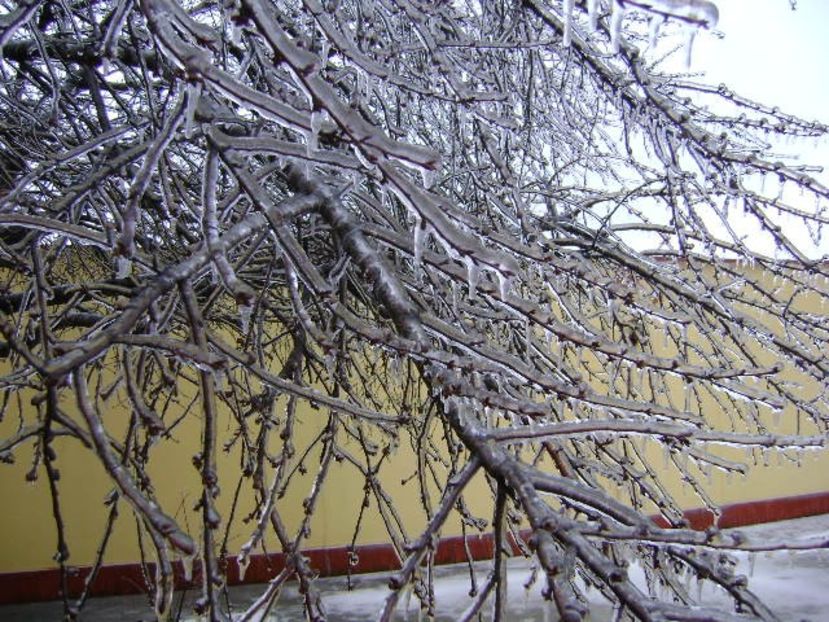 Freezing rain - v Iarna 2019-2020