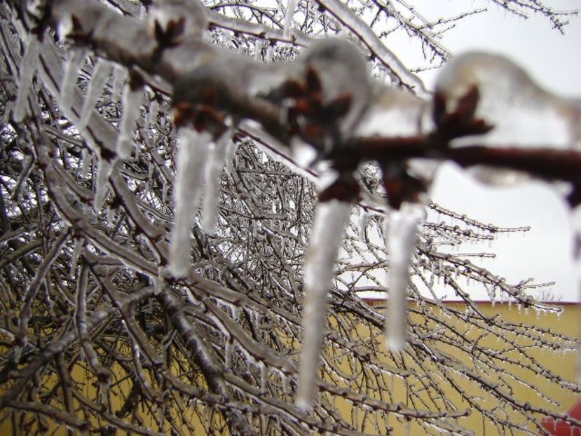 Freezing rain - v Iarna 2019-2020