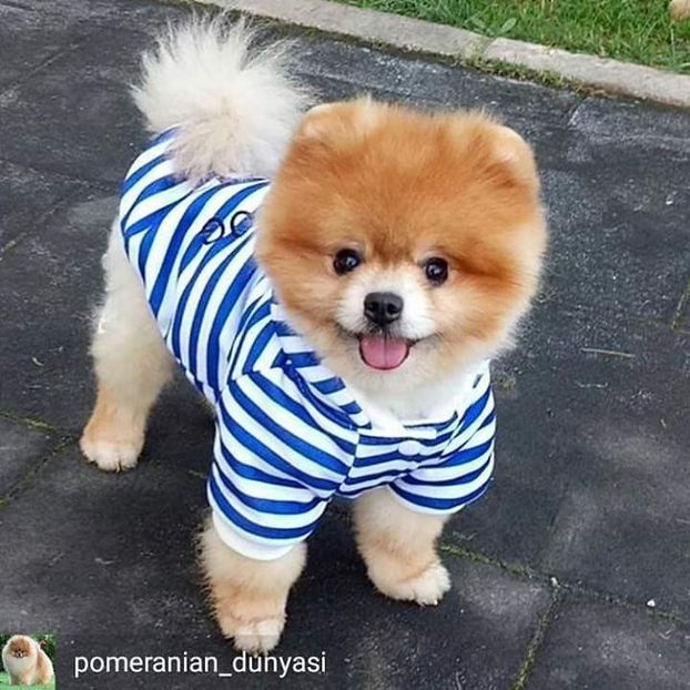  - 0_Catei_0